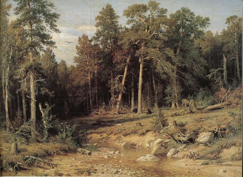Vyatka Province, the pine forests, unknow artist